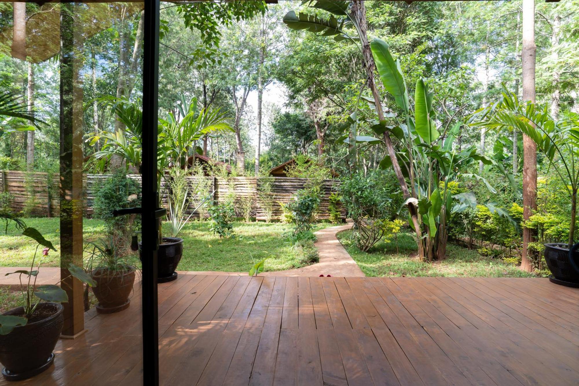 The Jungle Oasis With Heated Pool Apartment Nairobi Exterior photo